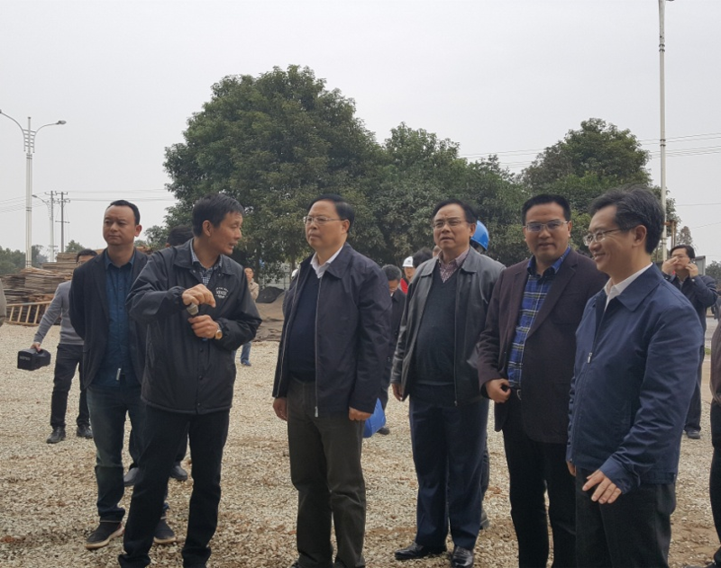 湖南省副省長(zhǎng)張劍飛到公司承建的岳陽海吉星項(xiàng)目調(diào)研