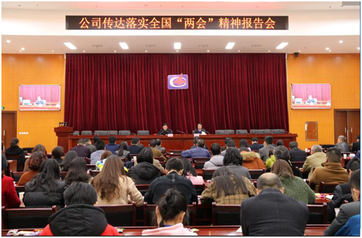 公司認(rèn)真?zhèn)鬟_(dá)學(xué)習(xí)十三屆全國人大一次會(huì)議精神
