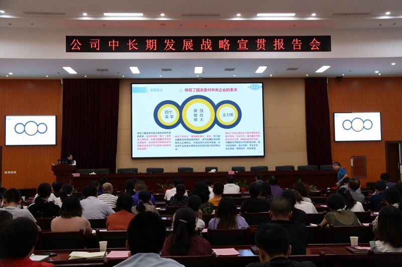 公司舉辦“中長期發(fā)展戰(zhàn)略、精細化管理和合規(guī)管理”宣貫 首場報告會