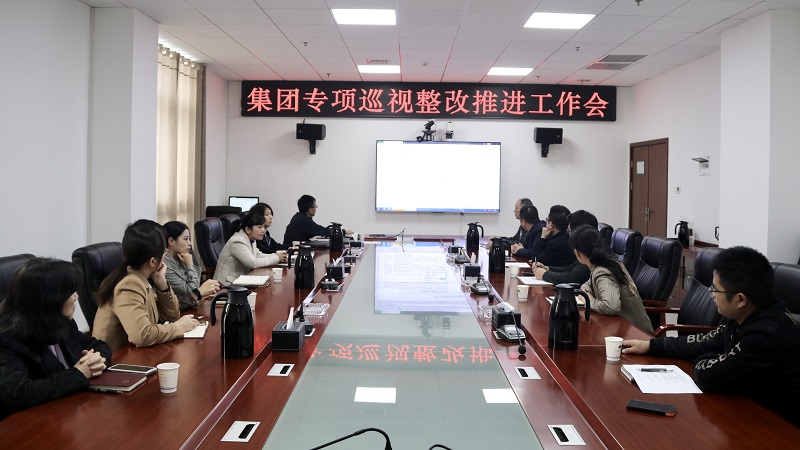 公司黨委召開集團專項巡視整改工作推進(jìn)會