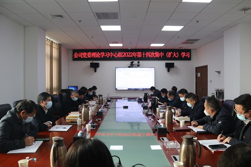 公司黨委理論學(xué)習(xí)中心組傳達學(xué)習(xí)中央經(jīng)濟工作會議精神