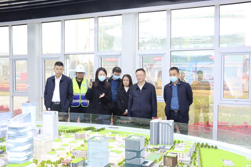 2022年11月，岳陽市人大常委會副主任喻文赴岳陽自貿片區(qū)產業(yè)綜合體項目調研