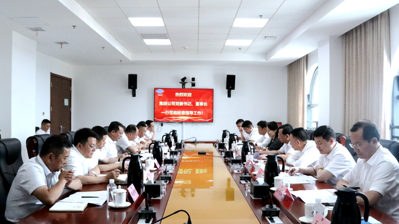 2022年6月，集團(tuán)公司黨委書記、董事長(zhǎng)戴和根一行到公司調(diào)研指導(dǎo)工作