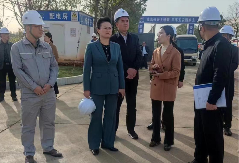 魏淑萍到市政公司岳陽縣晶易醫(yī)藥首期項目調研