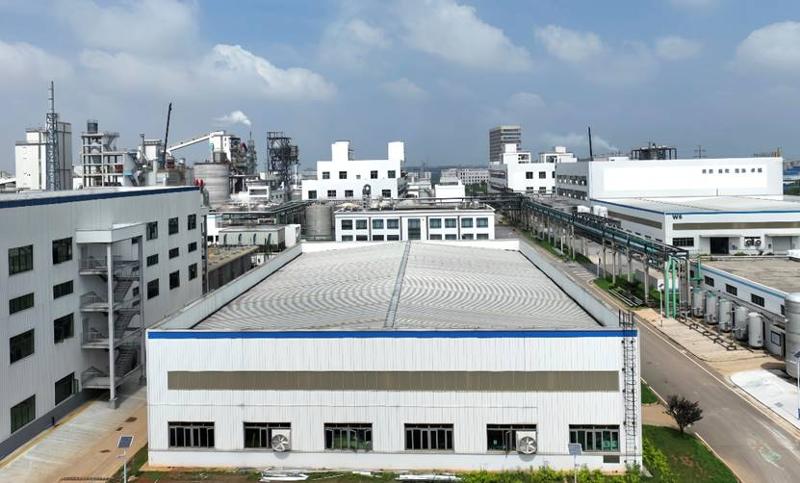 公司多個工程項(xiàng)目取得新進(jìn)展 | 大干四季度  闊步新征程