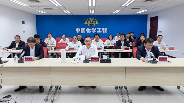 中國(guó)化學(xué)召開5月安全質(zhì)量環(huán)保工作例會(huì)暨質(zhì)量大檢查專項(xiàng)行動(dòng)動(dòng)員部署會(huì)議