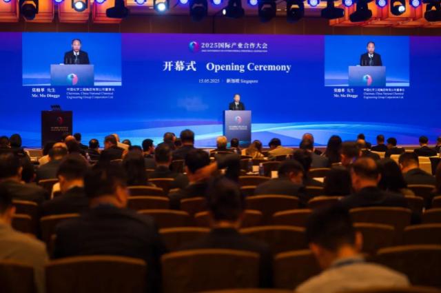 莫鼎革受邀出席新加坡產(chǎn)業(yè)合作大會(huì)開幕式并致辭