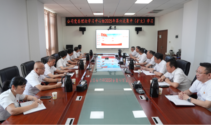 中國化學(xué)四化建舉行黨委理論學(xué)習(xí)中心組2025年第六次集中（擴(kuò)大）學(xué)習(xí)