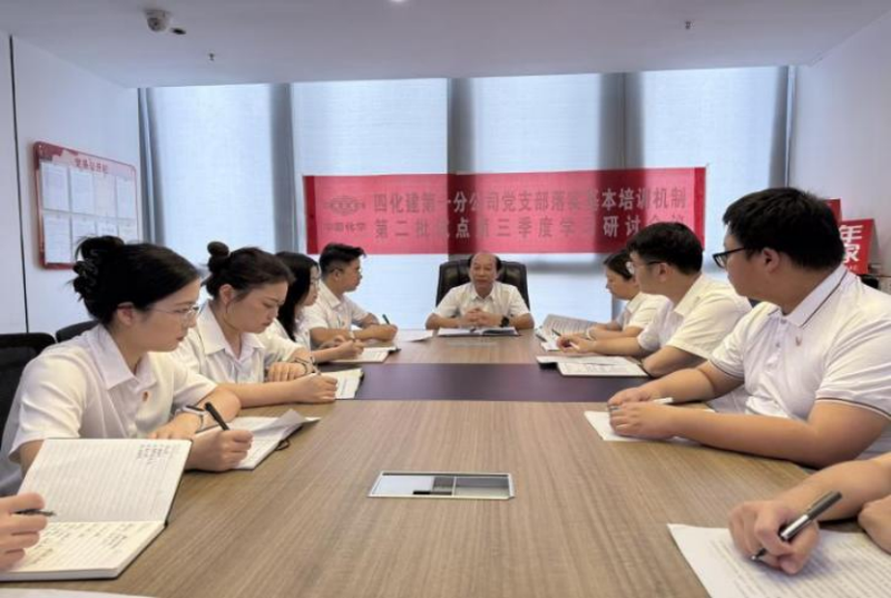 中國化學四化建基層黨組織落實基本培訓機制第二批試點第三季度學習研討②